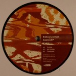 erdbeerschnitzel_cushionep