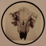 wolfmusic18